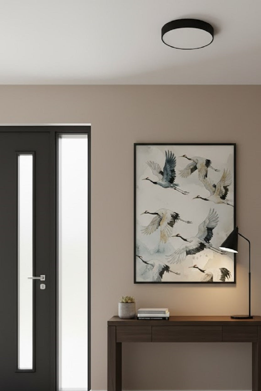 Safir Design Uçan Turna Kuşları Temalı Estetik Çerçeveli Tablo